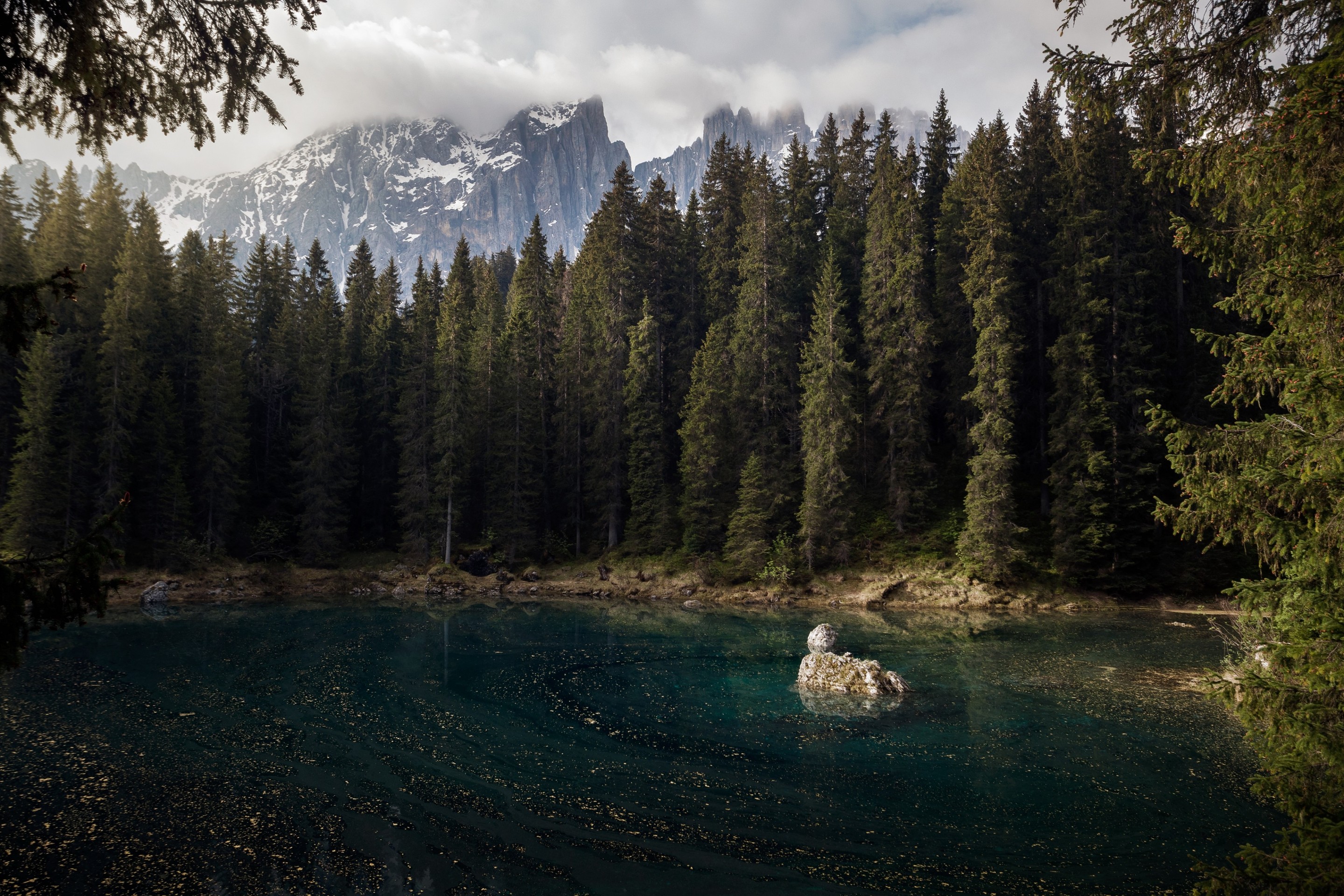 tapety reflection, larch
