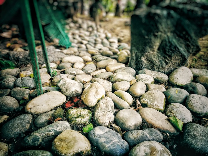 rocks