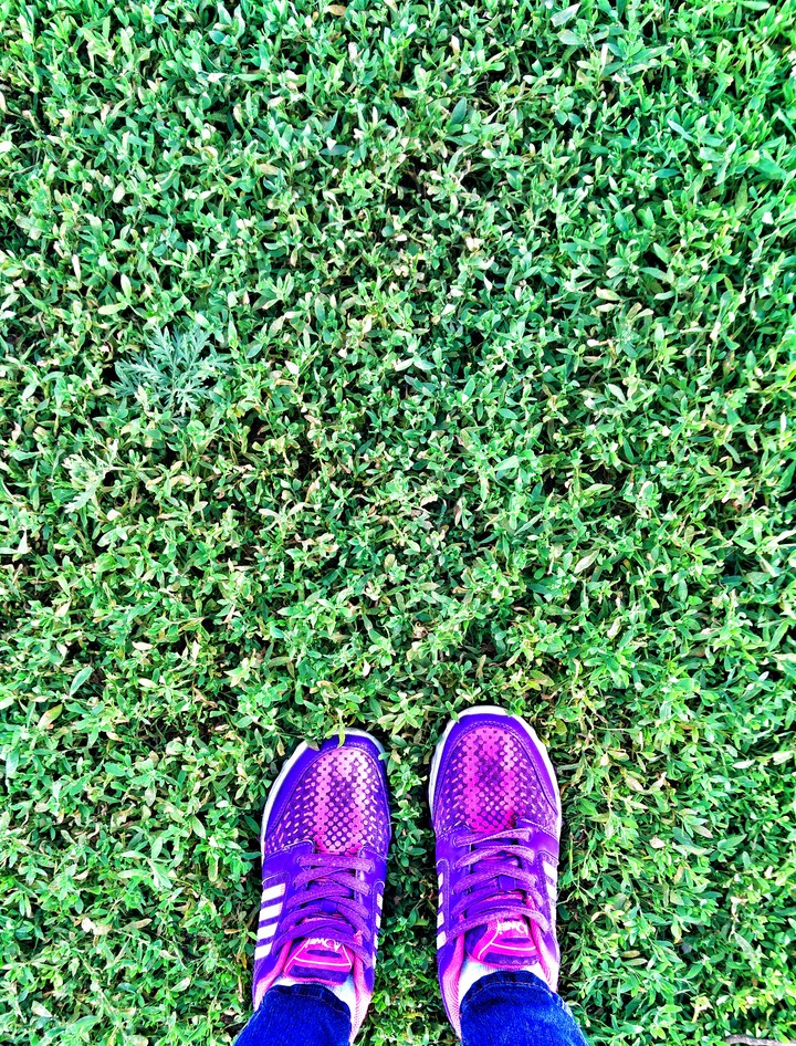 Grass
