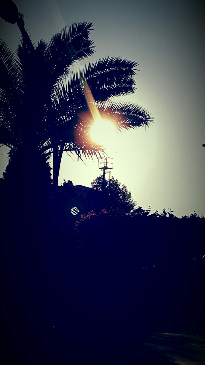 good morning