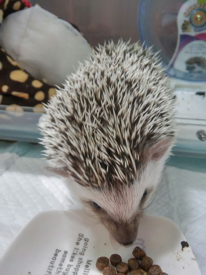 냠냠쩝쩝!