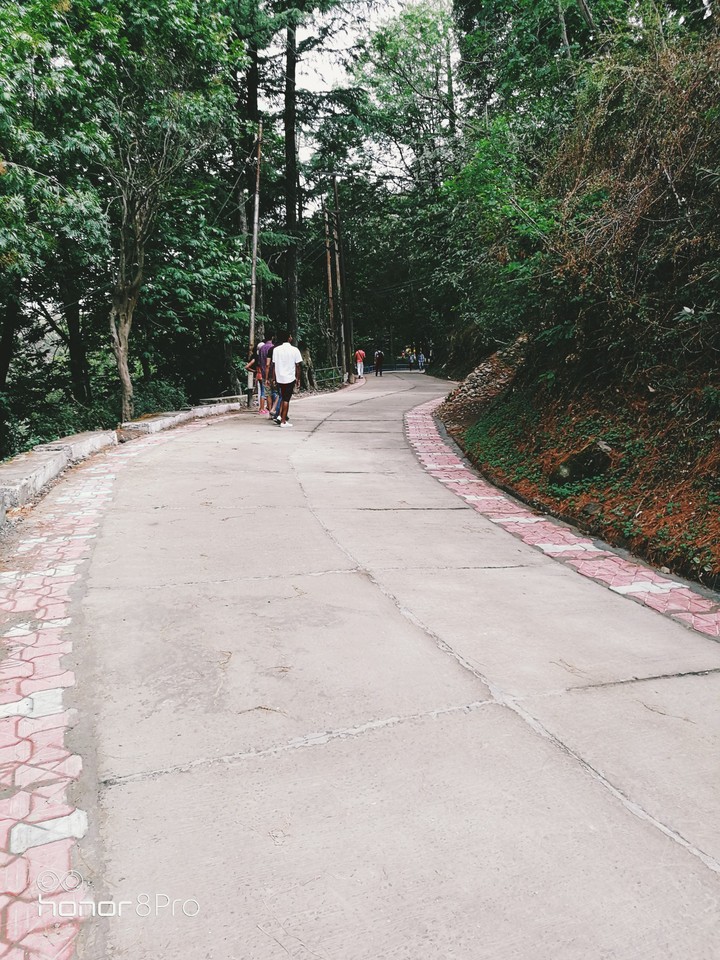 Road ahead