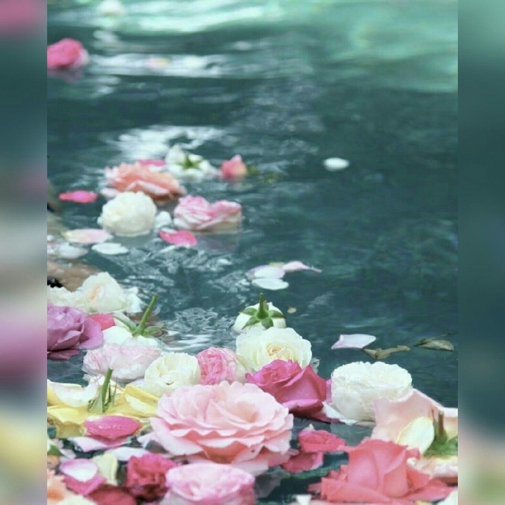 flowers in the see