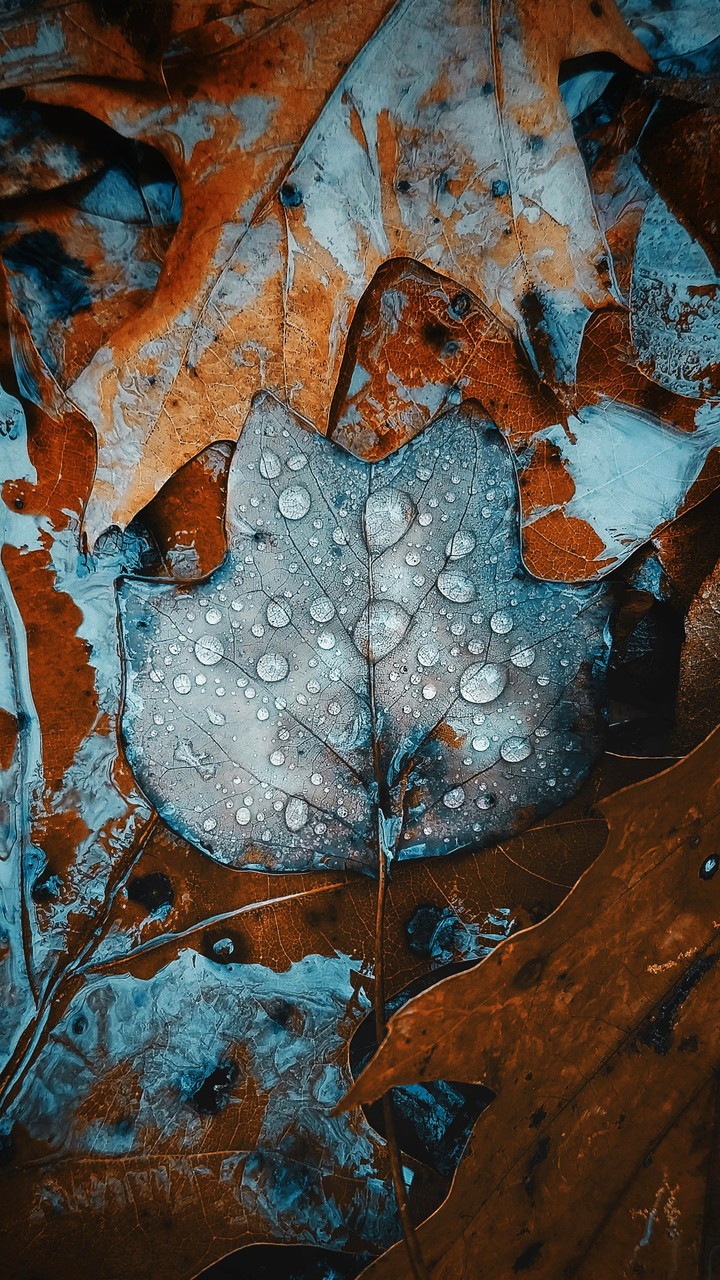 ?