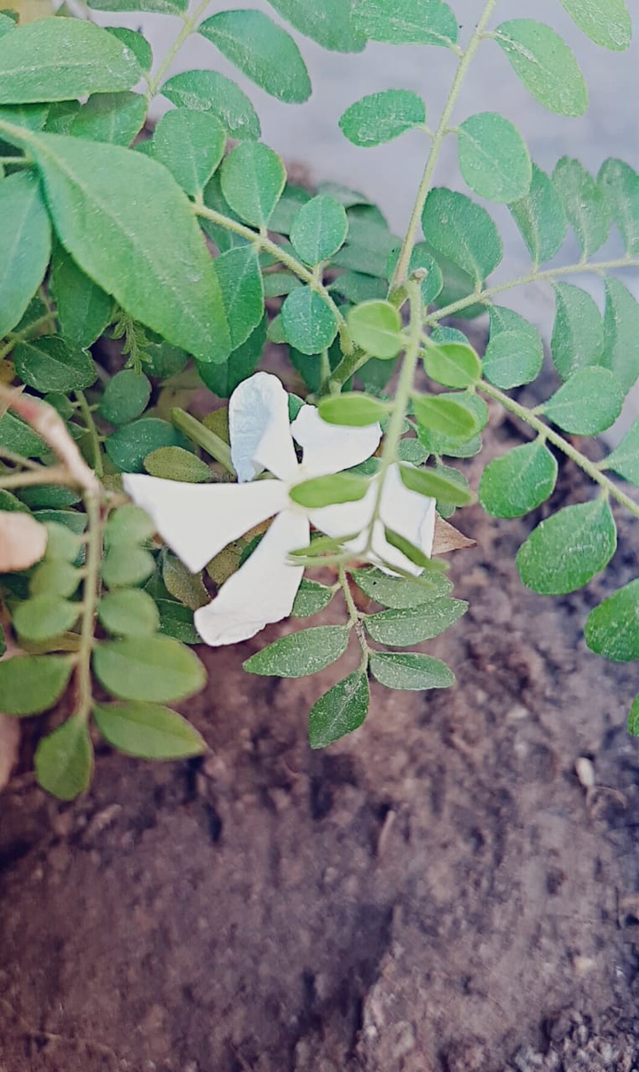 how's this
