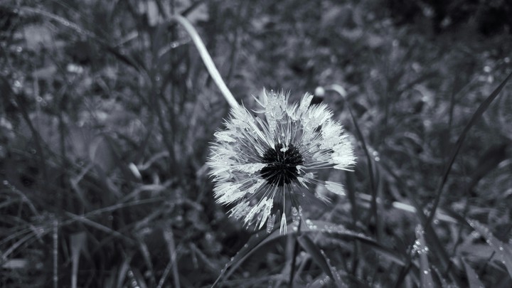 black&white