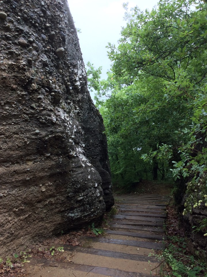 Rocks meet trees