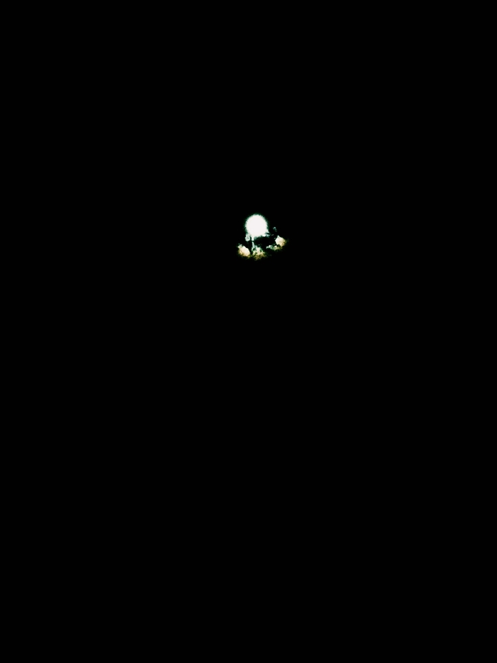 Night Sky