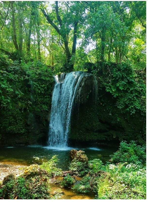 NATURE