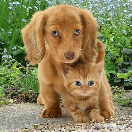 ❤❤❤