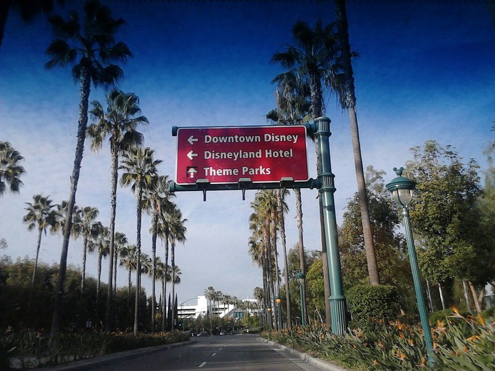 disney