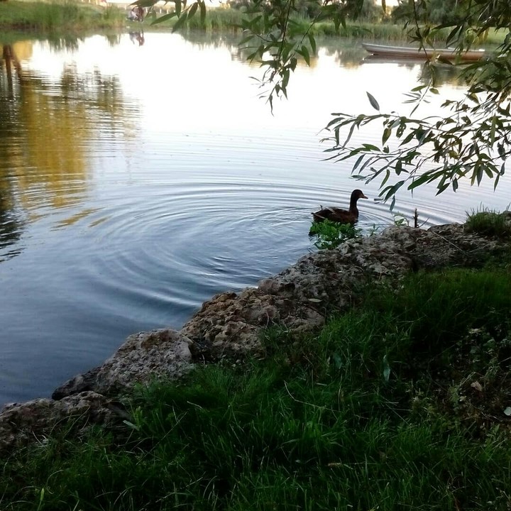 лето