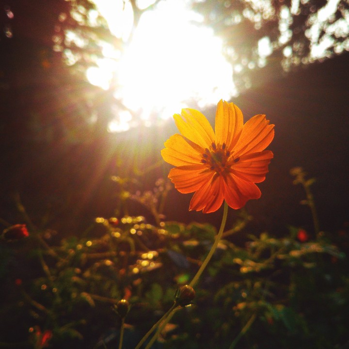 TheMorningBeauty
