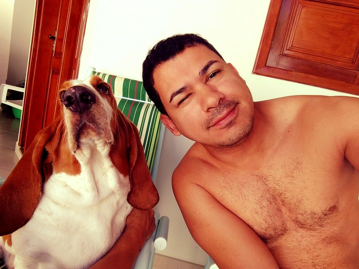 Luna, the Basset Hound