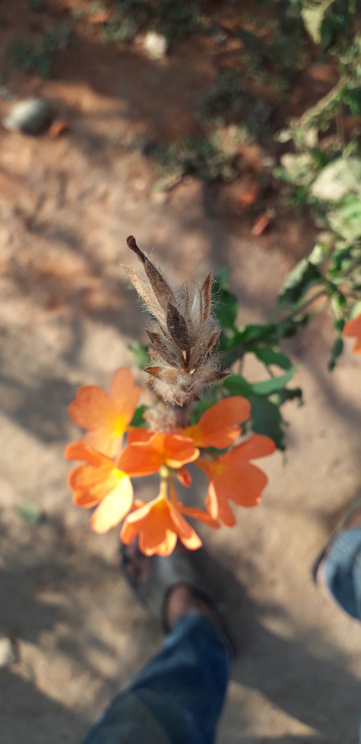 my photography
