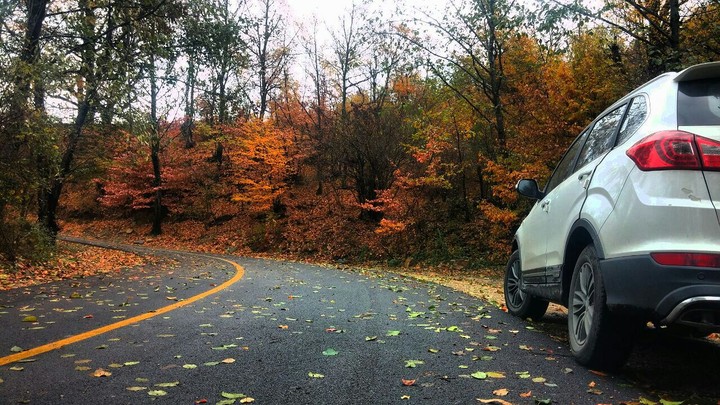 Autumn