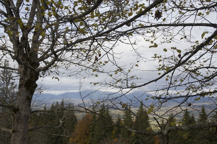 Carpathian mountains