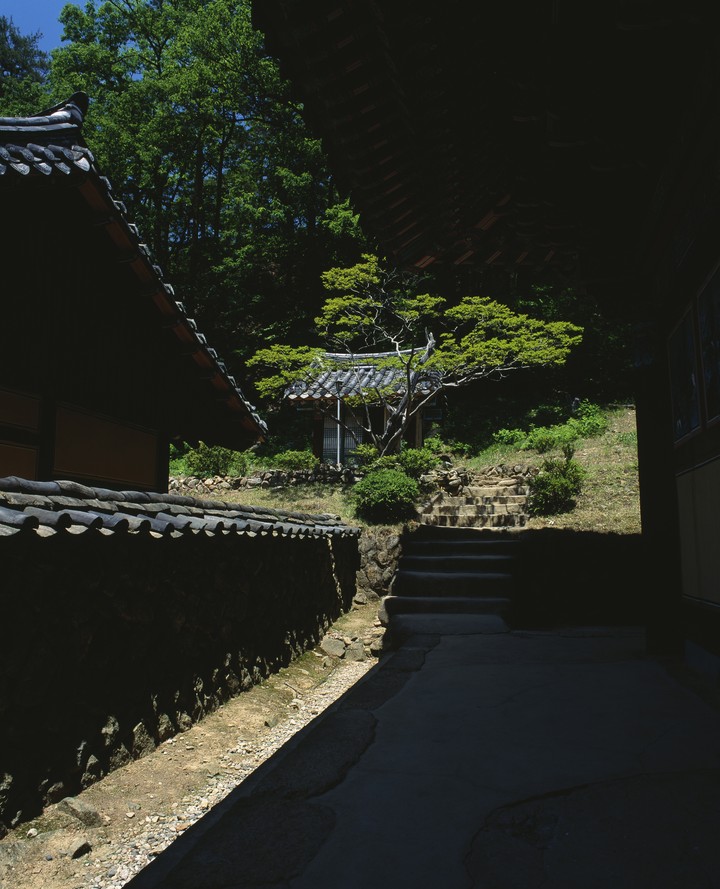 동양이미지
