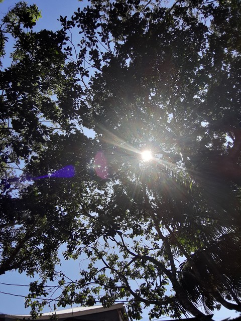 Rays of Light