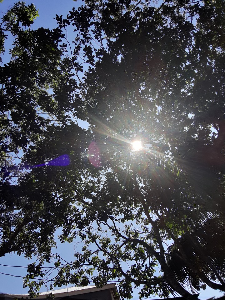 Rays of Light
