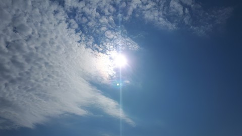 the sun in the sky
