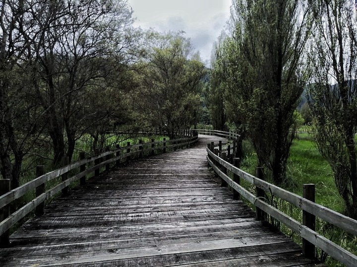 Camino