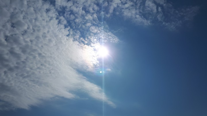 the sun in the sky