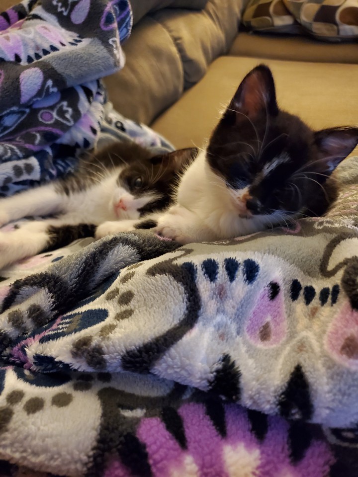 blanket nap