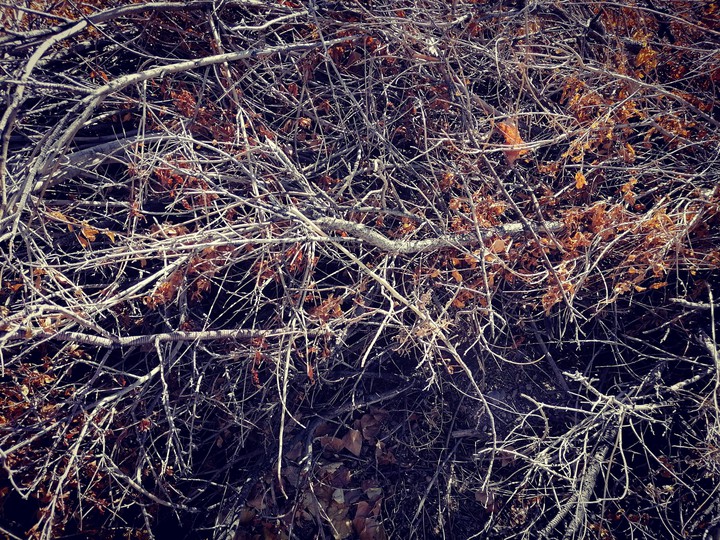 The End of Autumn
