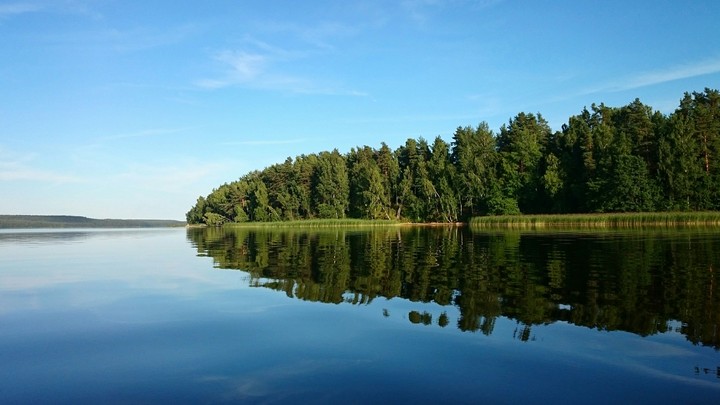 Nature