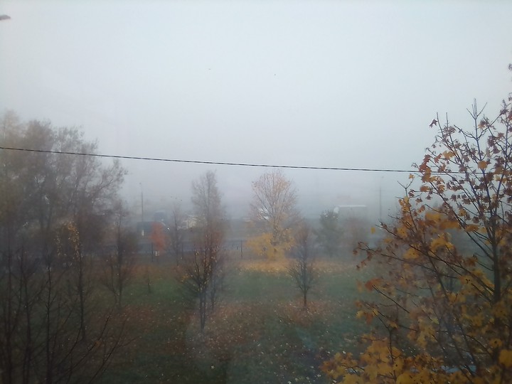 Туман