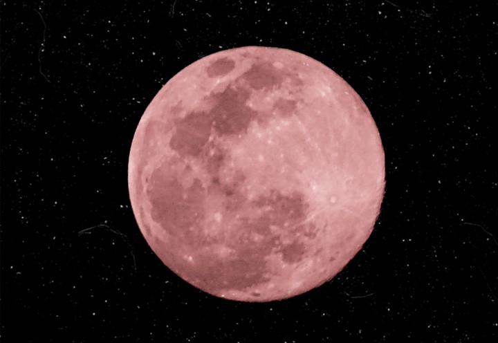 pink moon