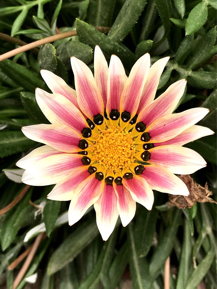 Wonders of Nature