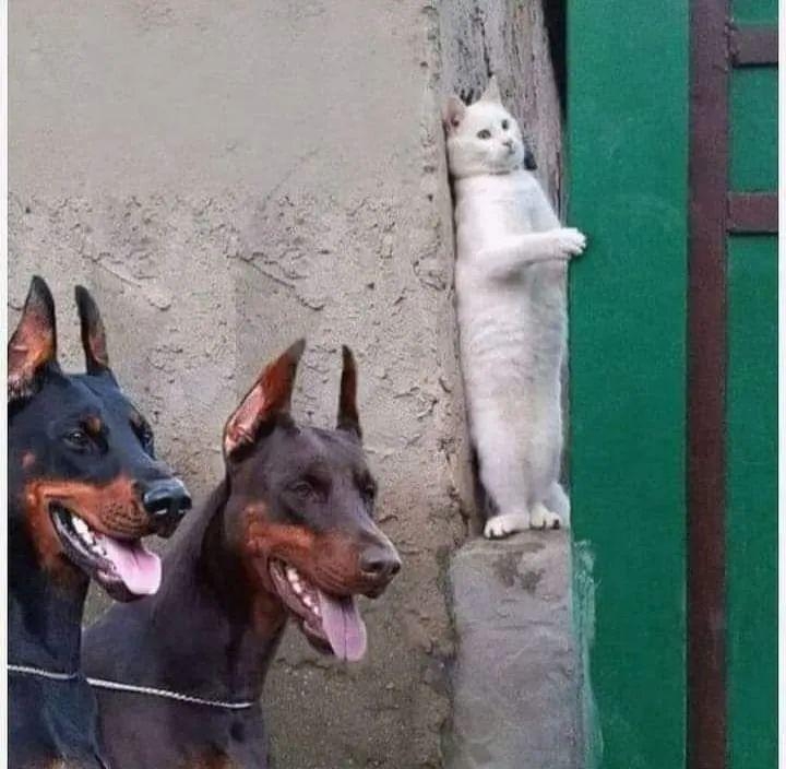 .