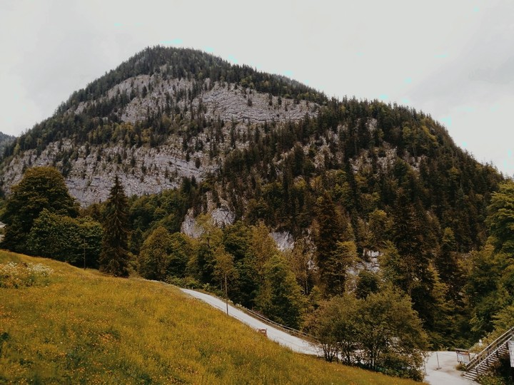Autumn slopes