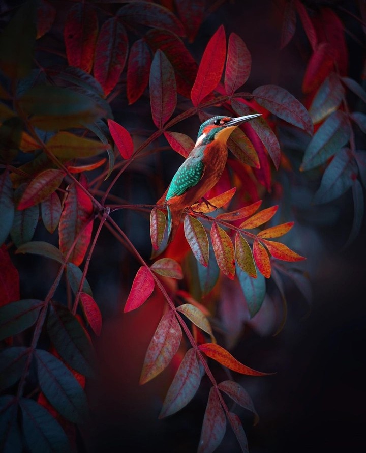 #color