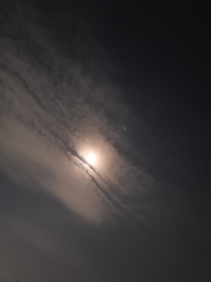 moon night