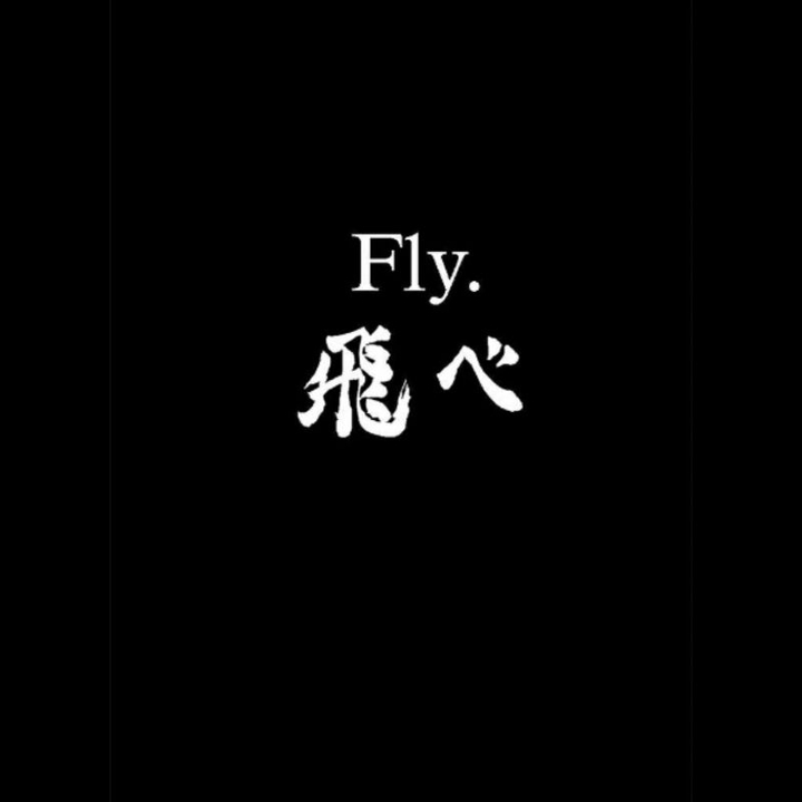 fly