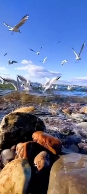 Море, море - шум прибоя.
