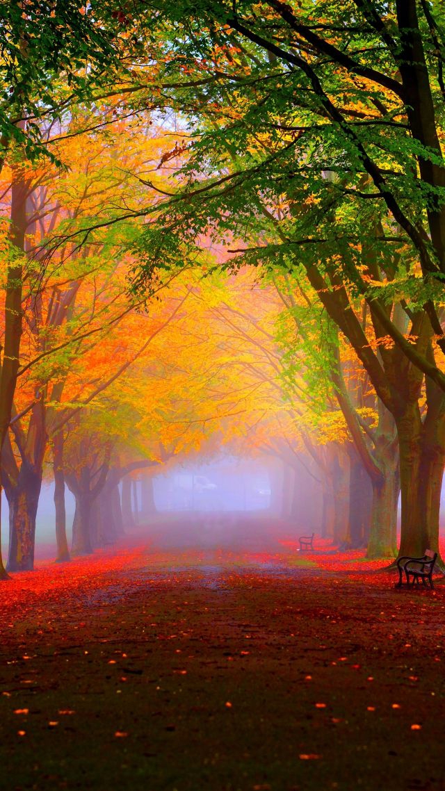 park
