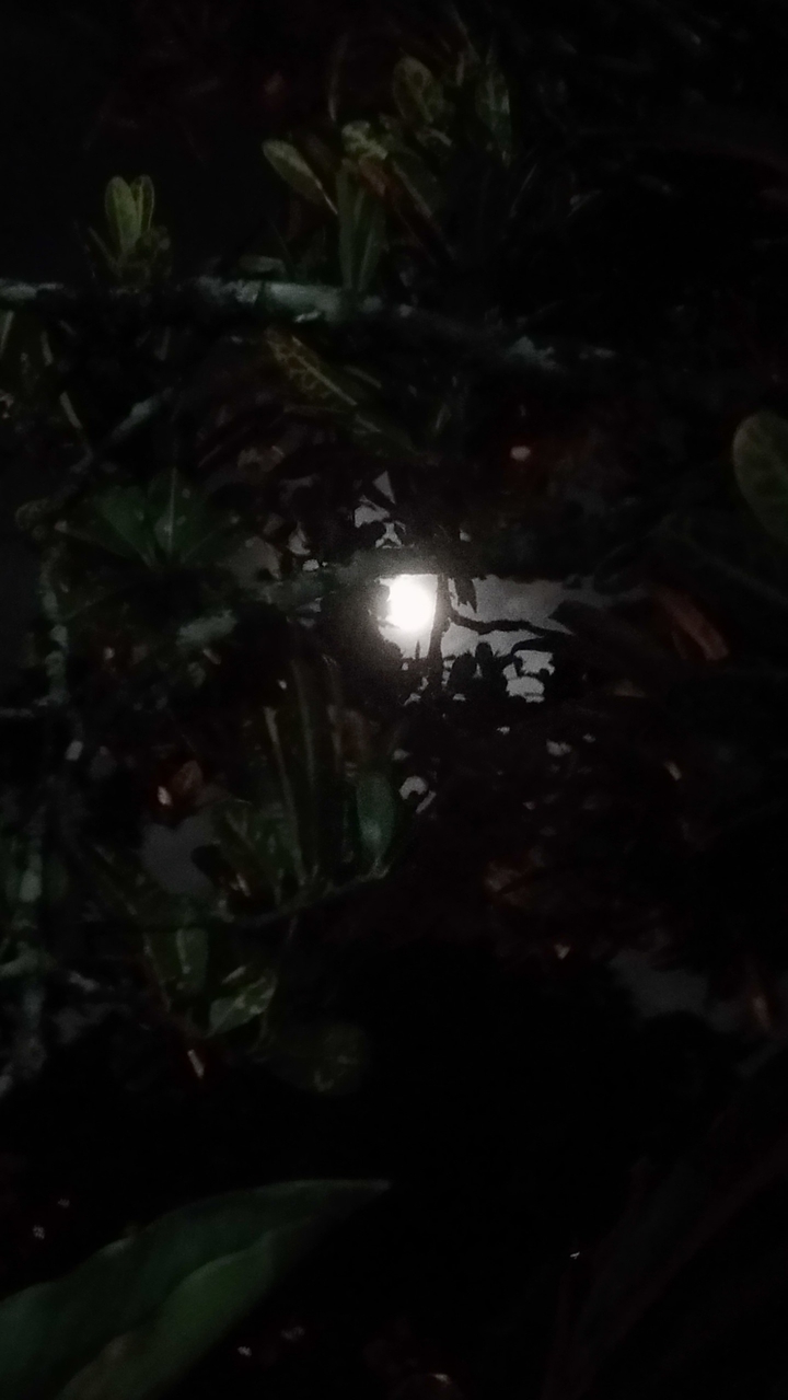 ??