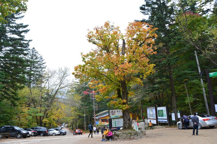 오대산이미지