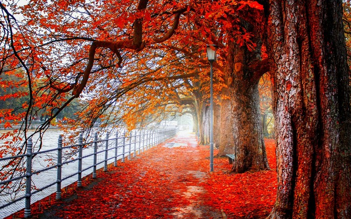 Autumn