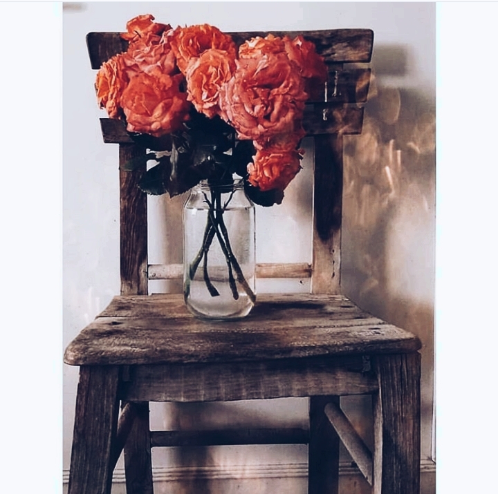 rose