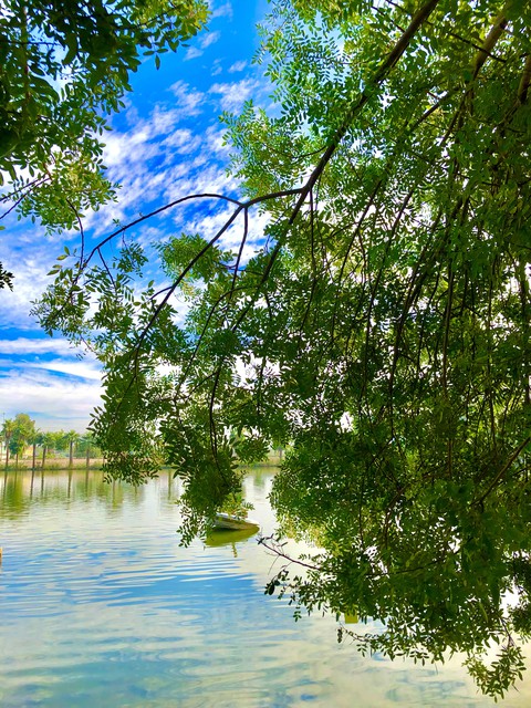 El Lago
