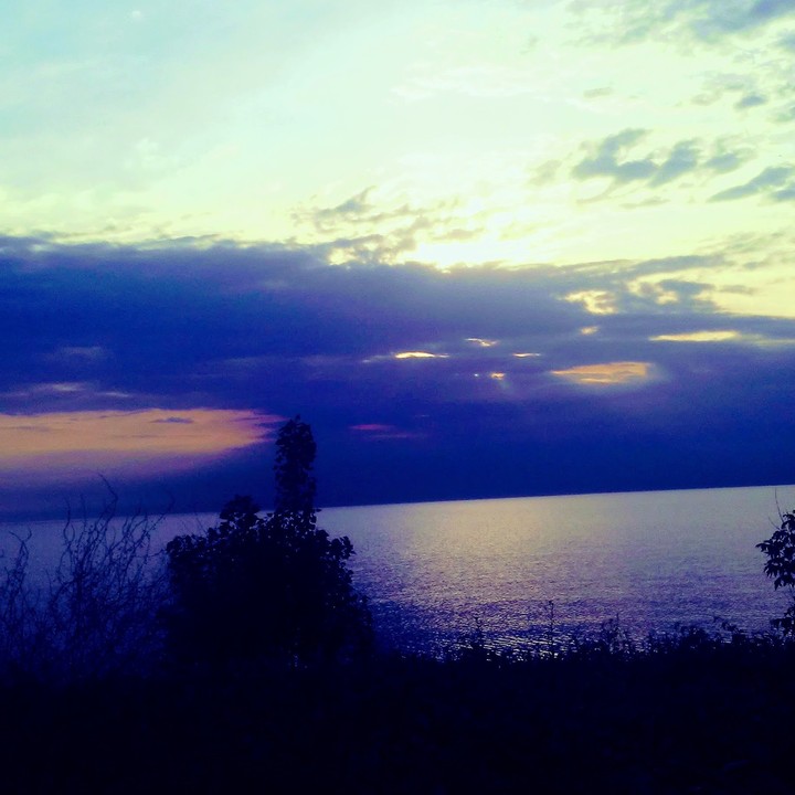 Blue Morning