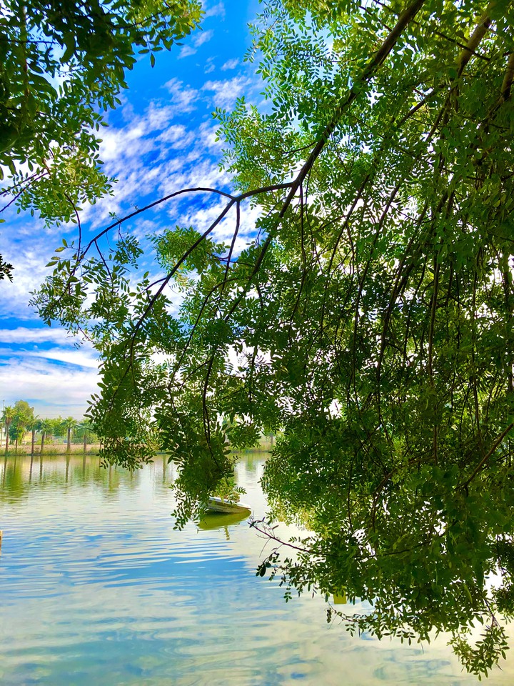 El Lago