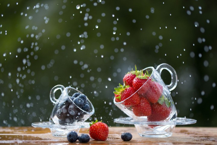 berries