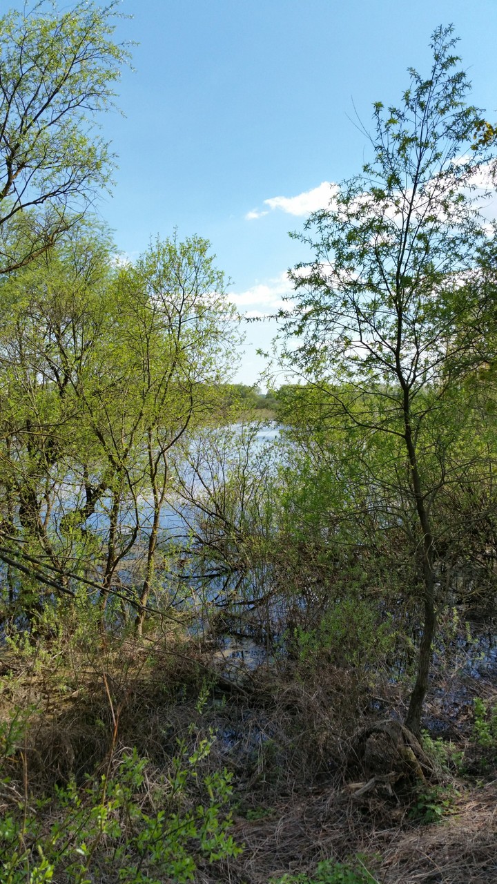 Весна