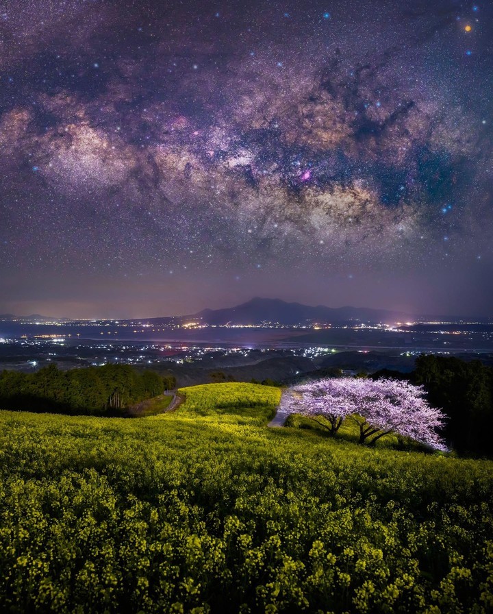 Good night ☆♡~•°☆♡~•°☆♡